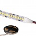 SMD2835 24V Flexible LED Strip - 5m 20W/m (240 LED/m) - Single colour IP21
